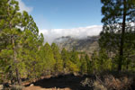 Wolken drijven over de bergen onderweg naar Roque Nublo