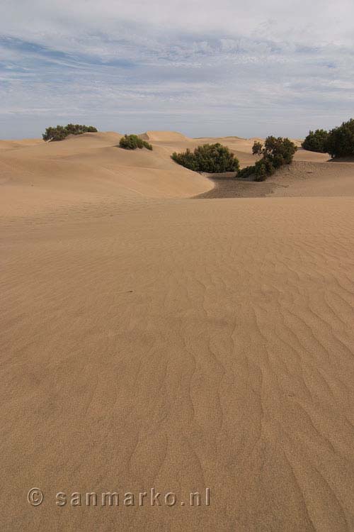 Ongerepte duinen van Maspalomas op Gran Canaria