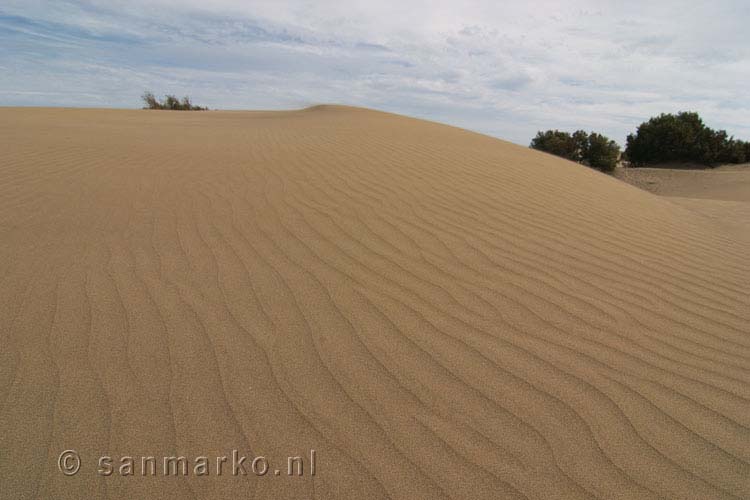 Golven in het zand van de duinen van Maspalomas op Gran Canaria