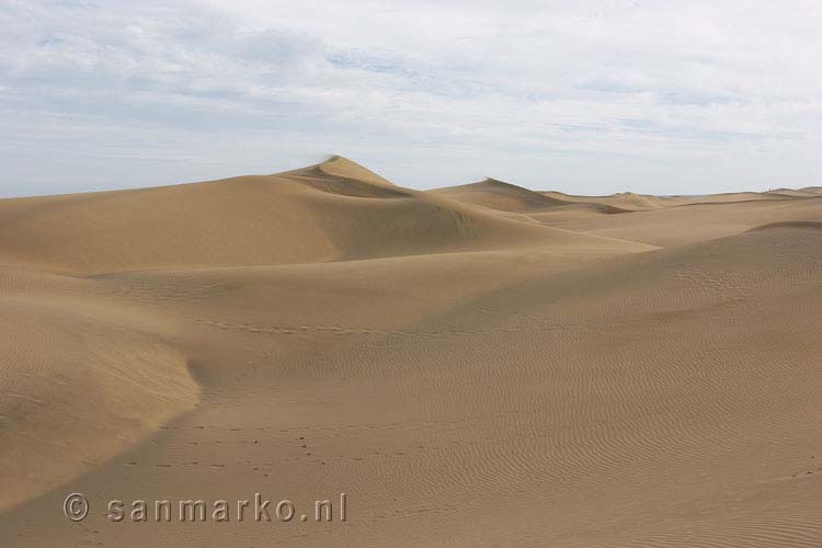 De duinen van Maspalomas zijn uniek voor Gran Canaria