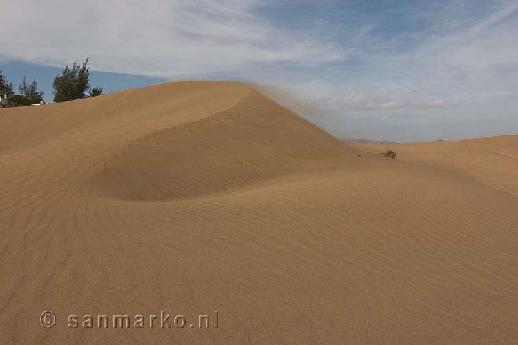 Stuifwind over de duinen van Maspalomas op Gran Canaria