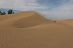 Stuifwind over de duinen van Maspalomas op Gran Canaria