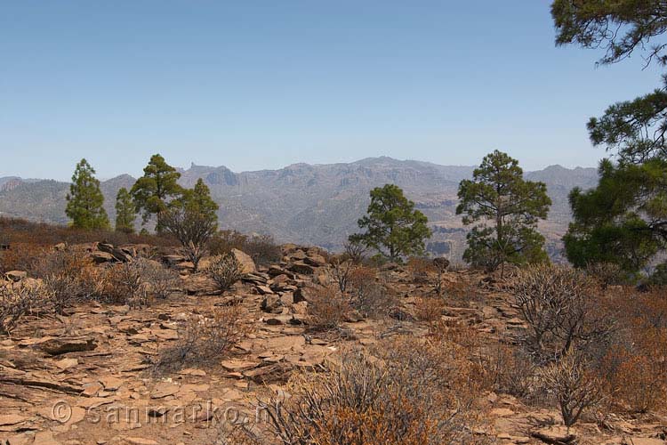 Een schitterend uitzicht vanaf de top Montaña de Tauro op Gran Canaria