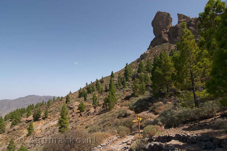 Vanaf het wandelpad onderlangs Roque Nublo een schitterend uitzicht op de rots