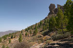 Vanaf het wandelpad onderlangs Roque Nublo een schitterend uitzicht op de rots