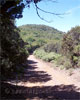 Het wandelpad naar Alto de Garajonay op La Gomera