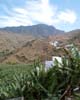 De bananenplantages rondom het dorp Hermigua op La Gomera