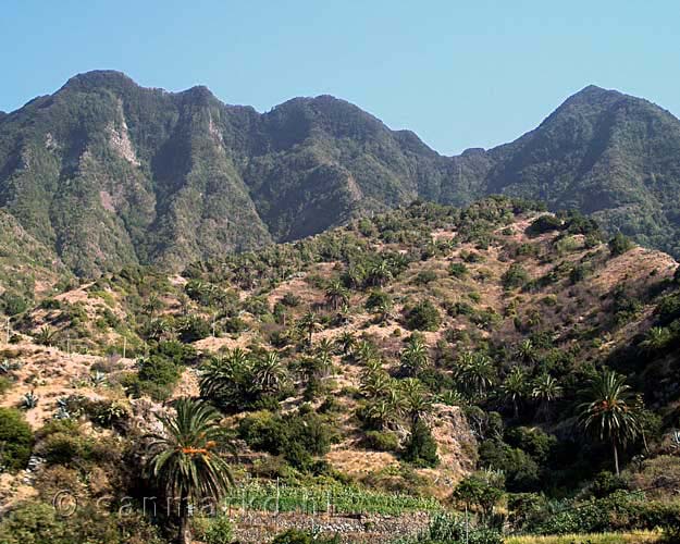 Hermigua gezien vanaf de auto op het schitterende La Gomera