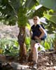 Een van de vele Bananenbomen in plantages rondom Hermigua op La Gomera