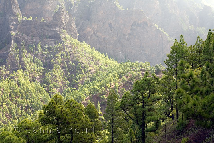 Uitzicht vanaf het wandelpad over La Cumbrecita op La Palma