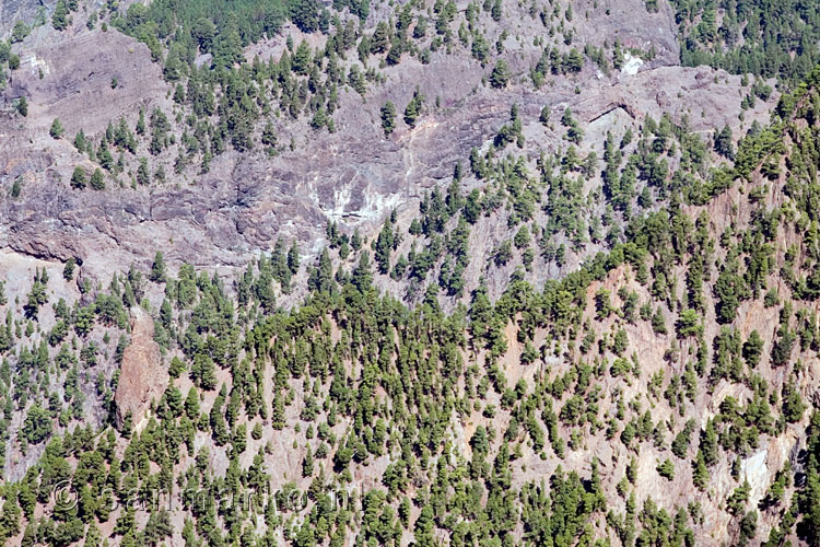 Roque Idafe in de Caldera de Taburiente tijdens de wandeling bij La Cumbrecita