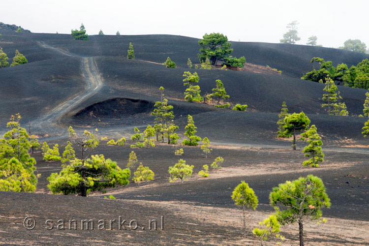 Vanaf het wandelpad bij Ruta de los Volcanos een schitterend uitzicht over het landschap