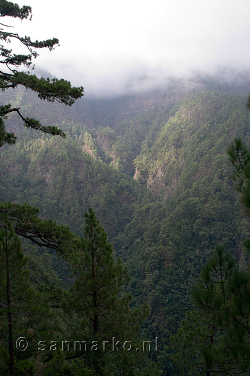 Uitzicht vanaf het wandelpad op Bosque de los Tilos op La Palma