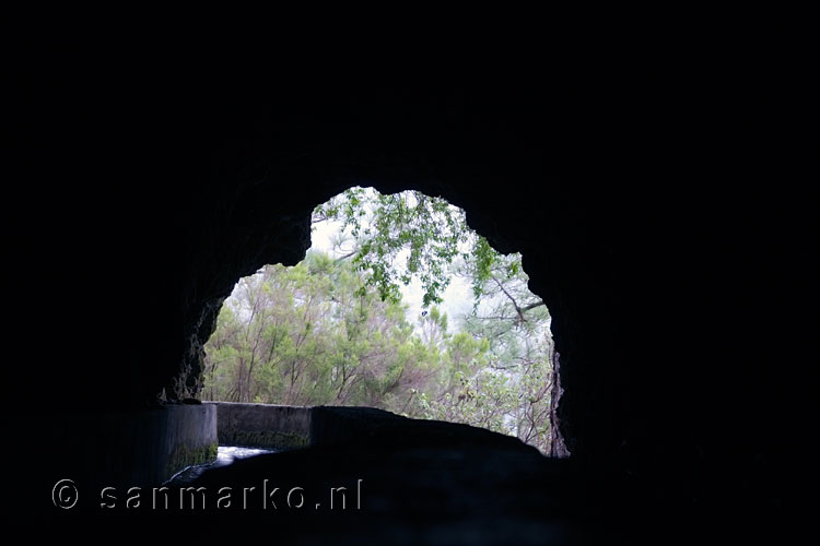 De uitgang van één van de 13 tunnels tijdens deze wandeling bij Los Tilos