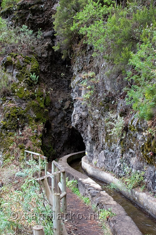 Na een tunnel wandelen we verder door Los Tilos op La Palma