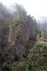 Uitzicht vanaf het wandelpad op steile rotswanden in Bosque de Los Tilos