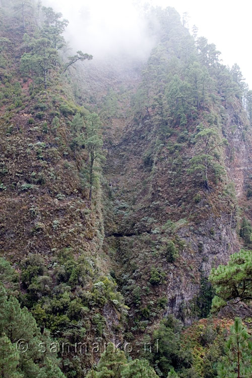 Vanaf het wandelpad zien we steile rotswanden in Bosque de Los Tilos op La Palma