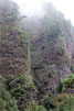 Vanaf het wandelpad zien we steile rotswanden in Bosque de Los Tilos op La Palma