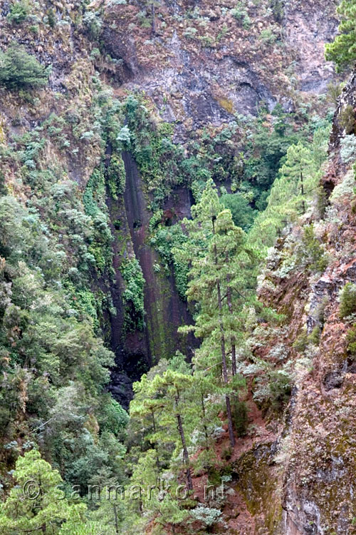 Wandelend richting de bronnen van het kanaal bij Los Tilos op La Palma