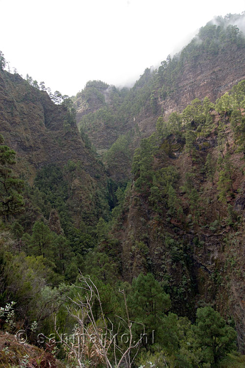 Het uitzicht het wandelpad langs het kanaal over Los Tilos op La Palma