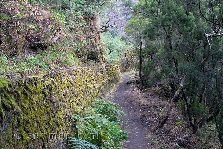 Uitzicht op het wandelpad langs het kanaal door Los Tilos op La Palma