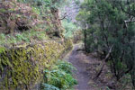 Uitzicht op het wandelpad langs het kanaal door Los Tilos op La Palma