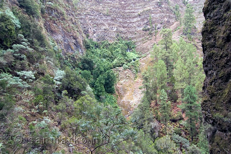 Bijna bij de watervallen Nacientes de Marcos op La Palma