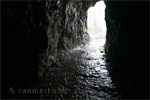 Wandelen door een regenachtige tunnel bij Los Tilos op La Palma