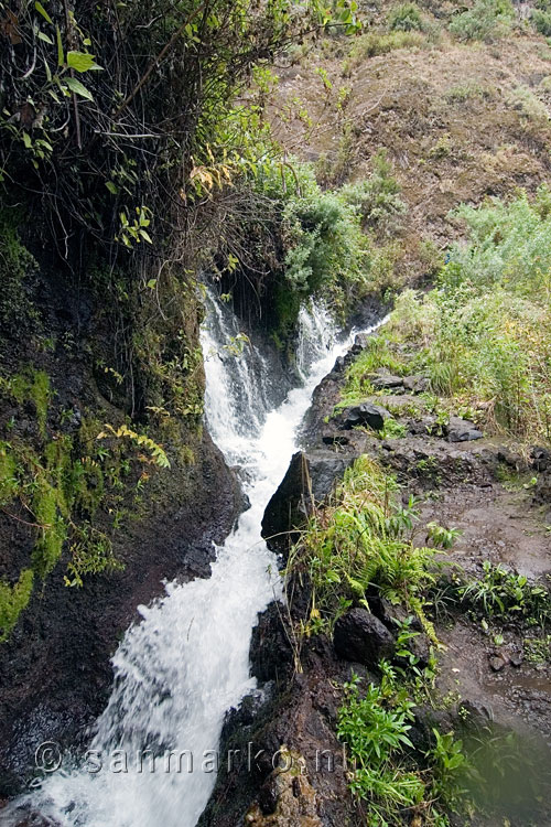 Nacientes de Marcos in Los Tilos tijdens de wandeling op La Palma