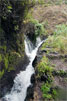 Nacientes de Marcos in Los Tilos tijdens de wandeling op La Palma