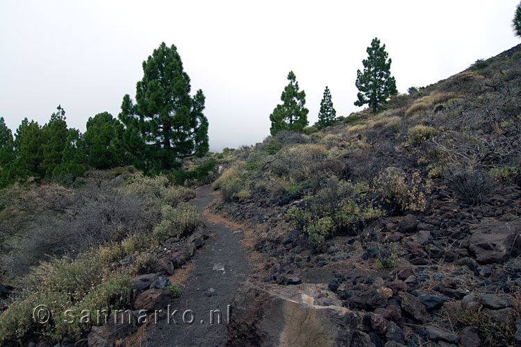Uitzicht op het wandelpad van de de Ruta de los Volcanes op La Palma