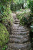 Door de schitterende natuur over oude trappen omhoog bij Chinobre