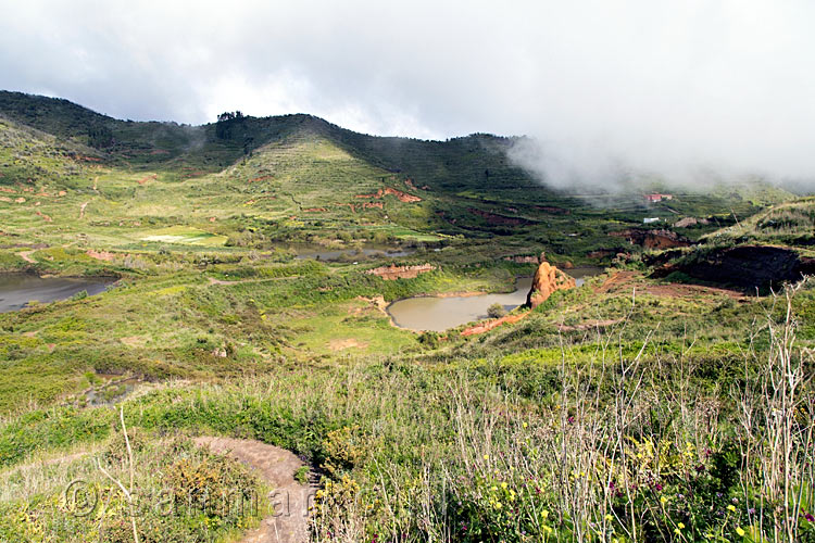 Door de schitterende natuur, langs meertjes en bloemen wandelen naar Cruz de Gala op Tenerife