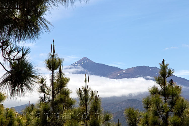 Ook El Teide is zichtbaar vanaf Cruz de Gala op Tenerife