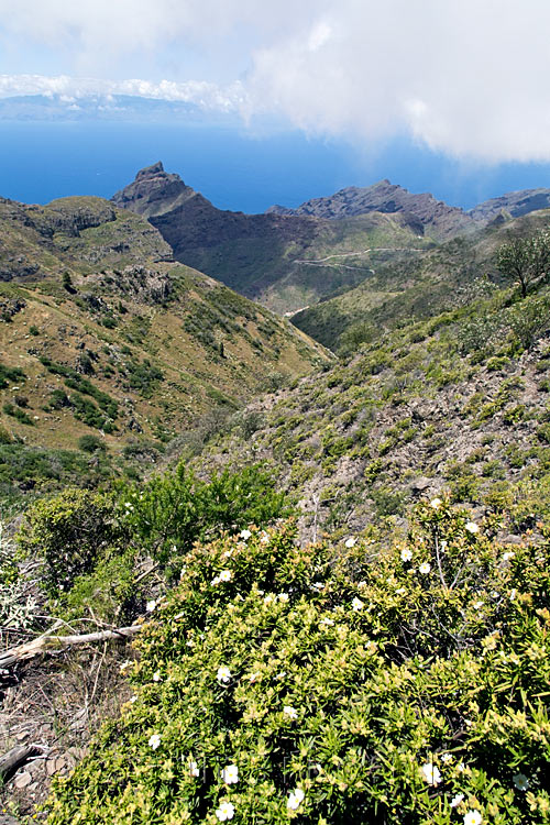 Het dal van Masca gezien vanaf de radiotoren Cruz de Gala op Tenerife in Spanje