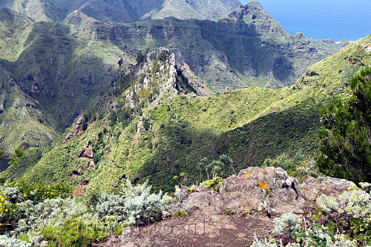 De grillige vulkanische natuur gezien vanaf het wandelpad richting Punta del Hidalgo op Tenerife