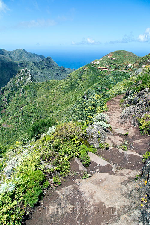 Nog een mooi uitzicht tijdens de wandeling van Cruz del Carmen naar Punta del Hidalgo in het Anaga gebergte