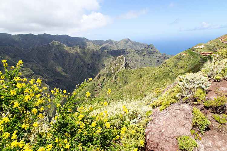 Onderweg naar Chinamada vanaf Cruz del Carmen naar Punta del Hidalgo op Tenerife