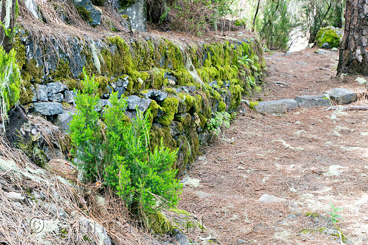 Wandelend langs de watergangen op de Ruta del Agua in Noord Tenerife in Spanje