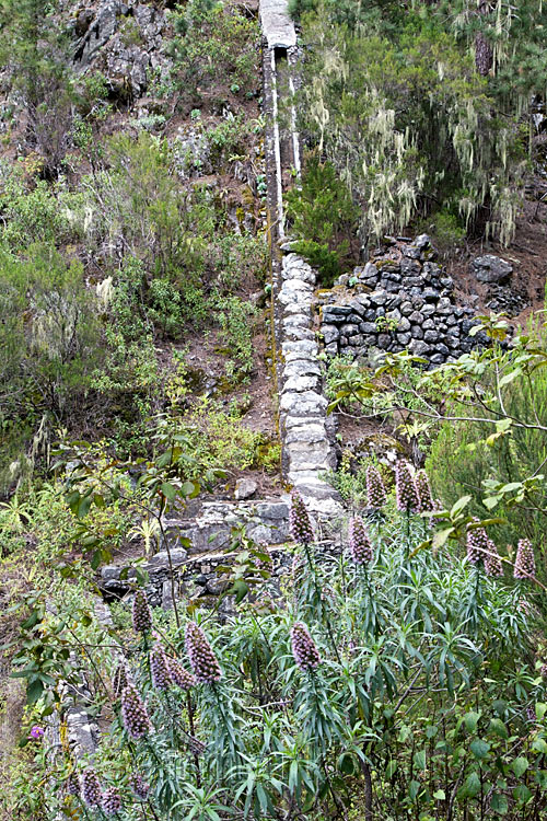 Vanaf het wandelpad zien we dit aquaduct door het dal bij de Ruta del Agua op Tenerife