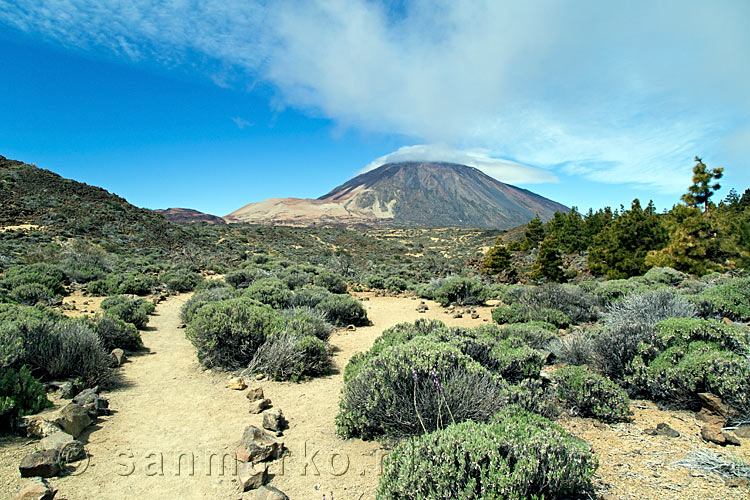 Wandelend naar La Fortaleza met uitzicht op El Teide op Tenerife