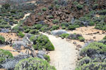 Door een lava landschap wandelen we richting La Fortaleza in Las Cañadas op Tenerife