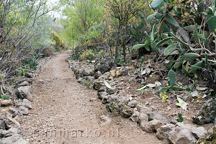 Een goed aangelegd en goed onderhouden wandelpad bij Las Vegas op Tenerife in Spanje