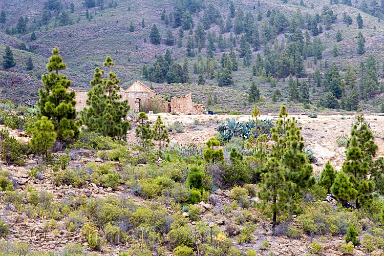 Uitzicht op een oude verlaten boerderij tijdens de wandeling bij Las Vegas op Tenerife