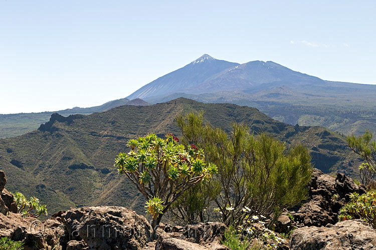 Vanaf Roque de La Cabezaca een schitterend uitzicht over El Teide op Tenerife in Spanje