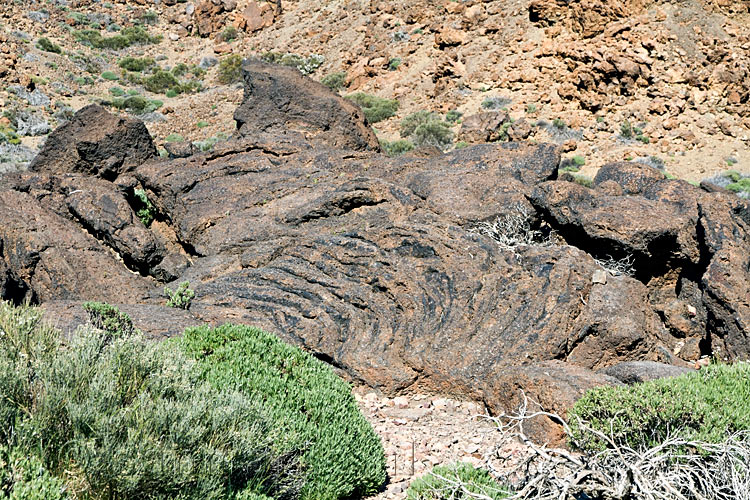 Touwlava langs het wandelpad door de Las Cañadas bij Los Roques de Garcia op Tenerife