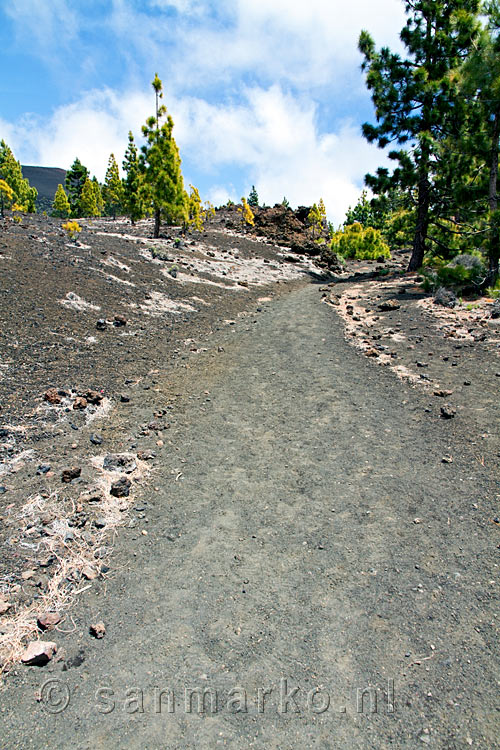 Het wandelpad richting Montaña de la Botija door de Las Cañadas op Tenerife op de Canarische Eilanden