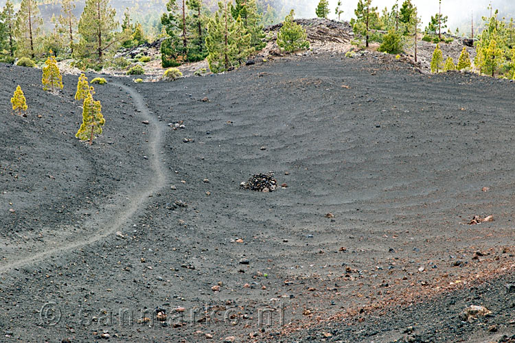 Het wandelpad door de gitzwarte bodem in Las Cañadas bij Montaña de la Botija op Tenerife