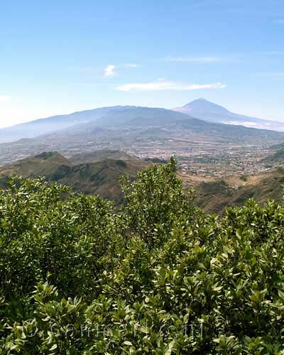 Uitzicht op de vulkaan de Teide vanaf Anaga op Tenerife