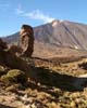 La Ruleta op Tenerife met op de achtergrond de Teide vulkaan